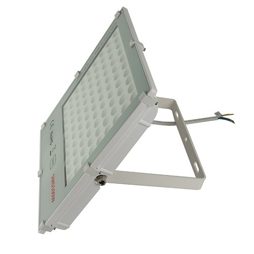 100W LED Flood light 